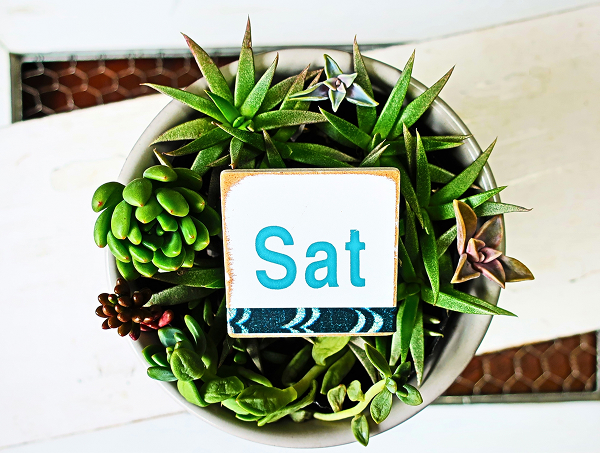 当院の5つの特徴